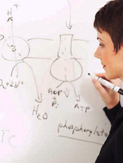 Science is one dimension of rationalism